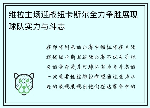 维拉主场迎战纽卡斯尔全力争胜展现球队实力与斗志